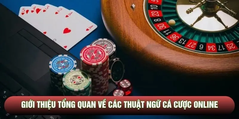 Giới thiệu tổng quan về các thuật ngữ cá cược online