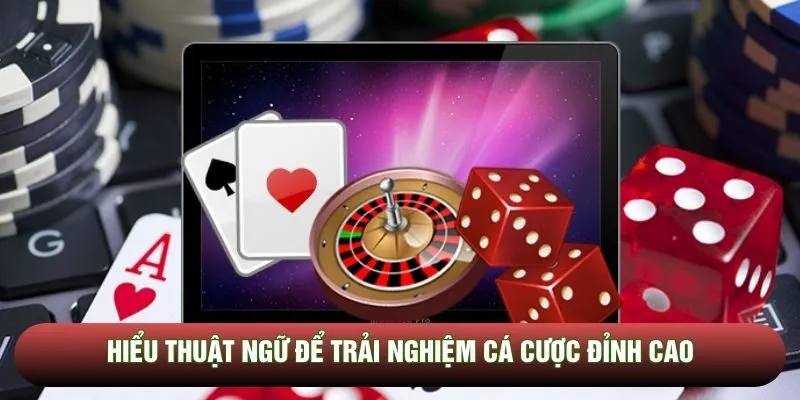 Hiểu thuật ngữ để trải nghiệm cá cược đỉnh cao